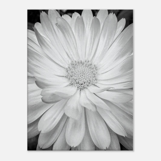 cf5cfd6f-026b-4b78-a5e8-394efc26e64b