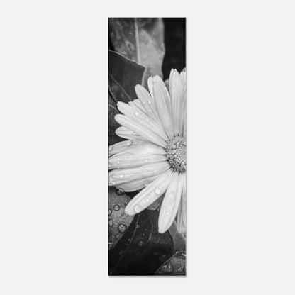 cf71f22c-6d77-412d-8314-a68acf779de8