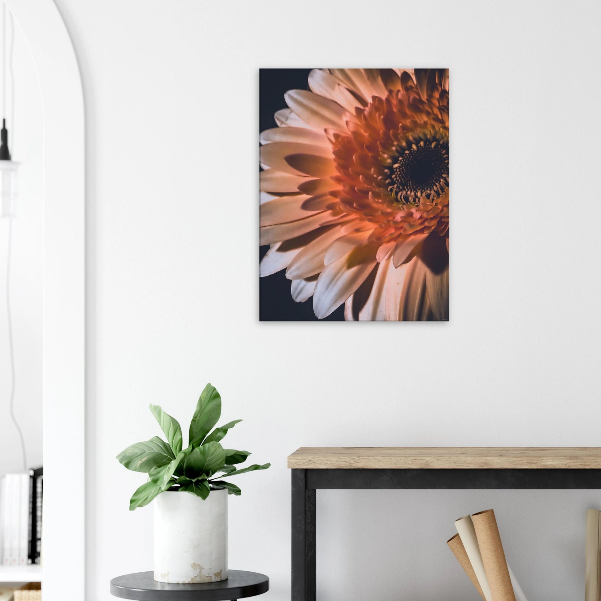 cfa71007-ac1a-42c3-be72-d95ae71ef313