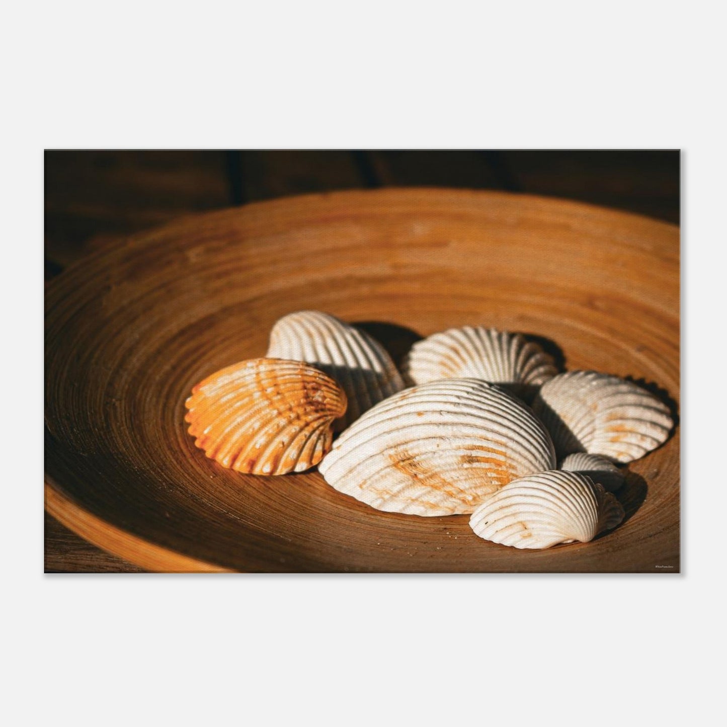 cfab9204-f40b-474c-94eb-80de40b66c13