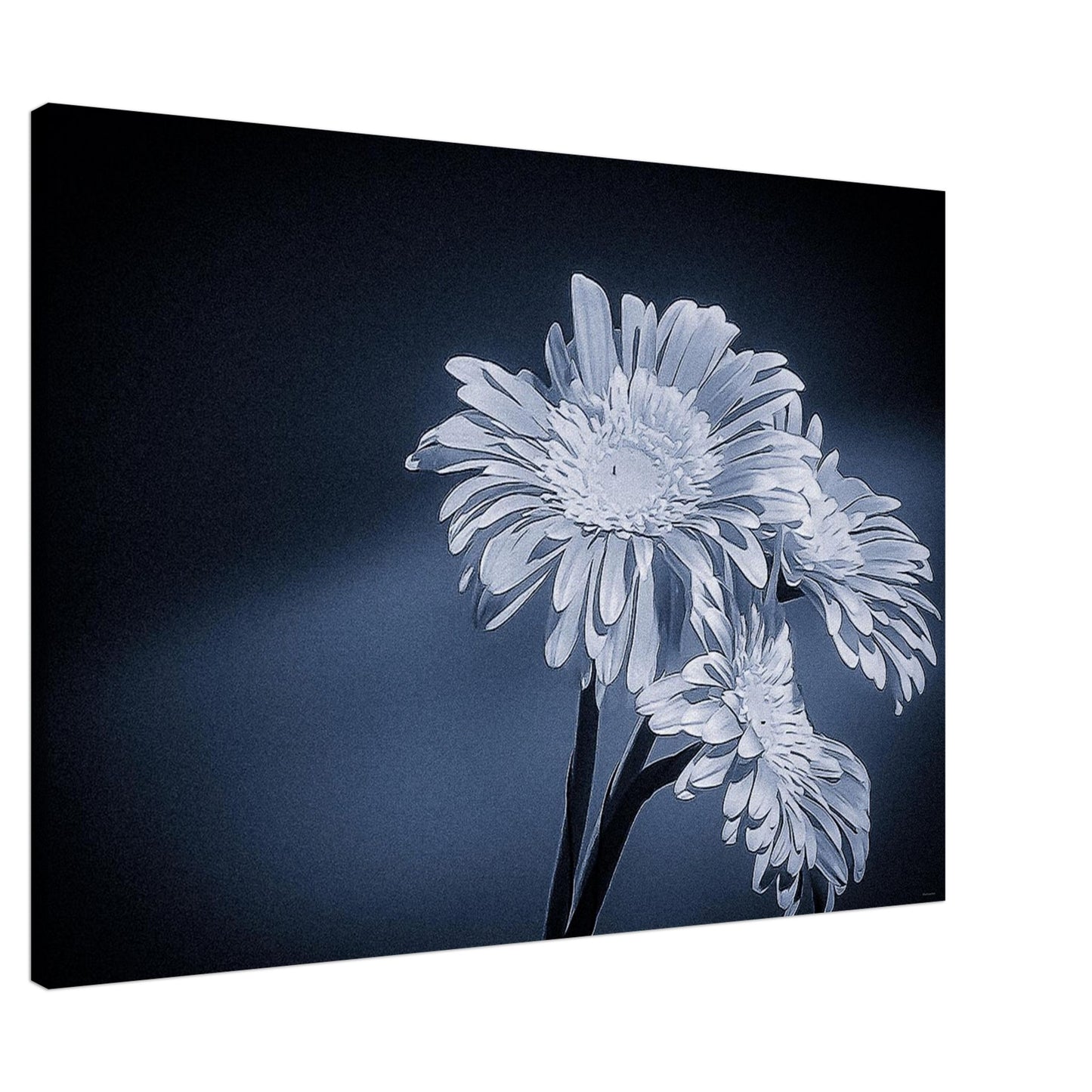 cfc19238-7d4b-4f0d-8637-647defa8172e