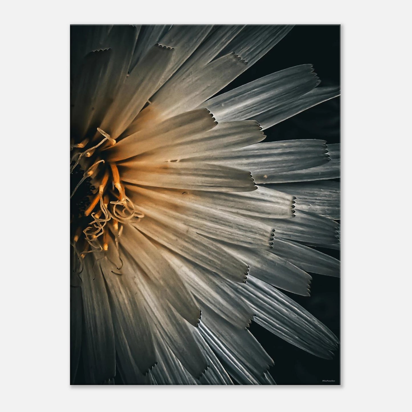 cfcd51ed-2052-4a3b-afc1-11359612dbce