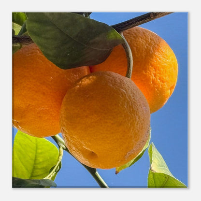 cff42269-284f-44bf-a400-28d52b603d5a