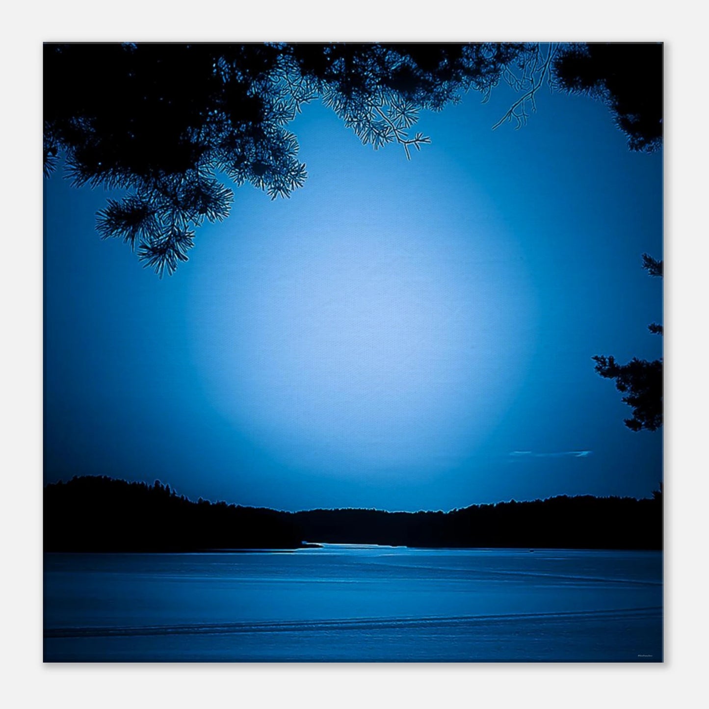 d020e57f-8642-4af1-9a2a-242b4a42dd02