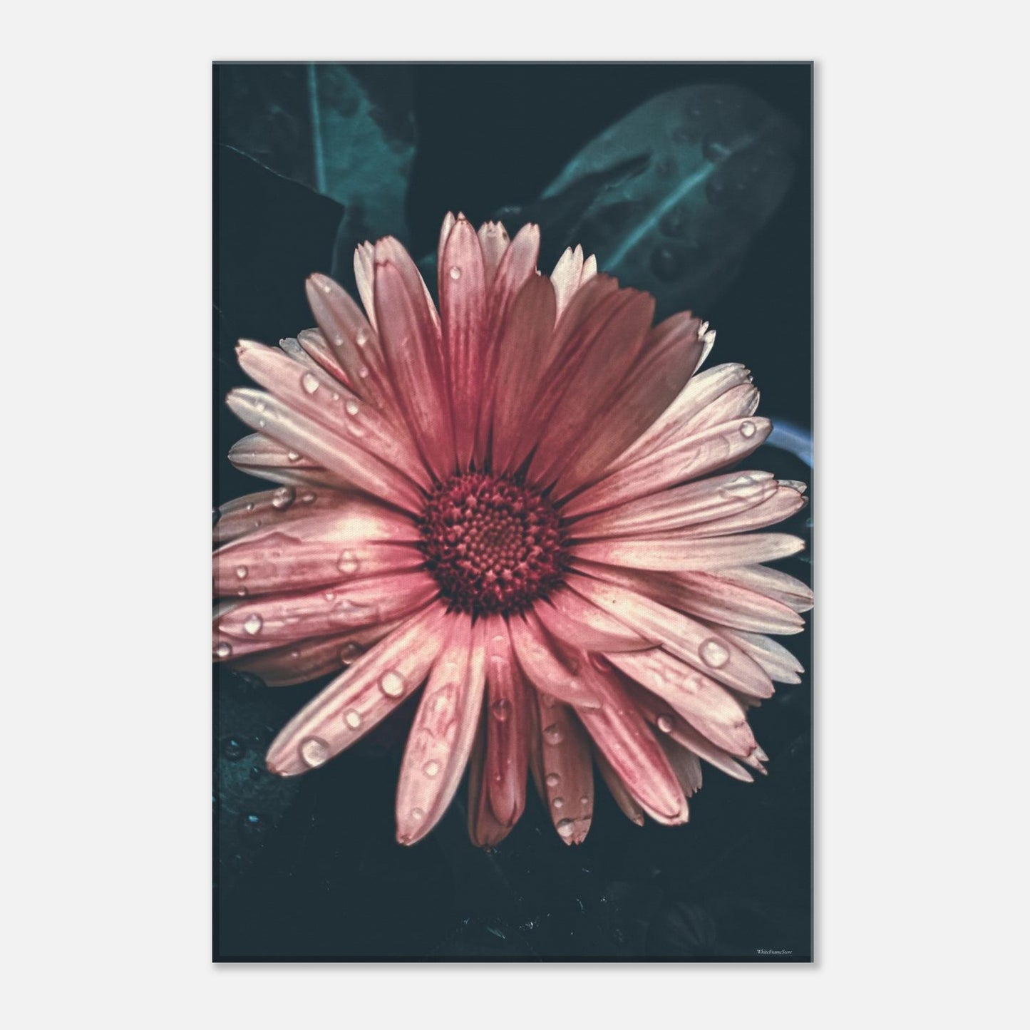 d02326dc-1d0b-4103-a981-047c42872d46