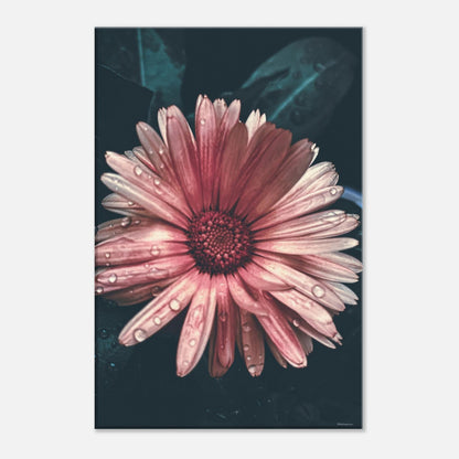 d02326dc-1d0b-4103-a981-047c42872d46