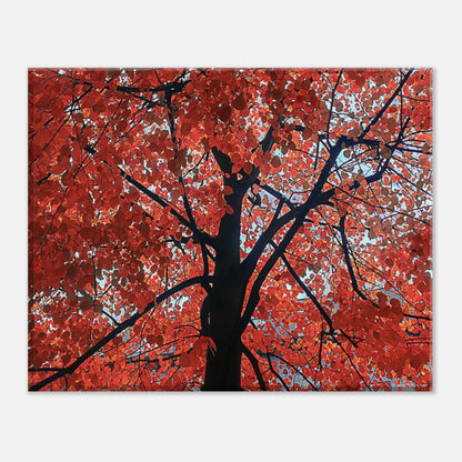 d0428029-640e-4982-a23e-6cb4b2957fd6