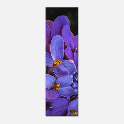 d07e8d65-fcce-4b54-b915-73a52a71758e