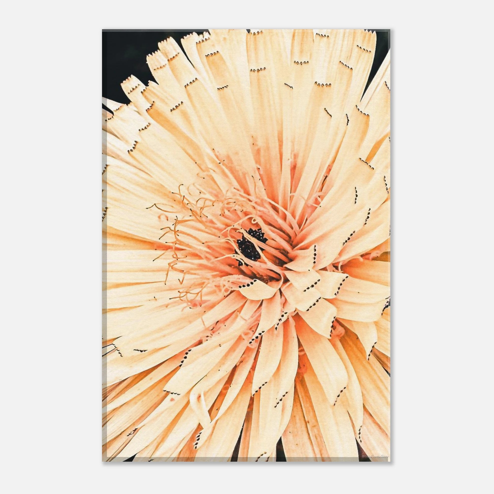 d0995781-036f-4fc2-81e2-17c4a45034ab