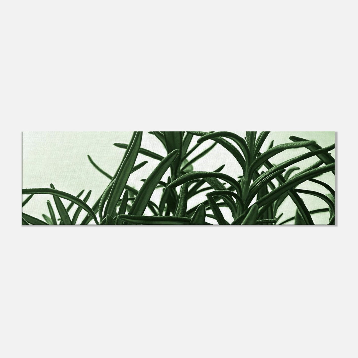 d0bebb2d-9f76-4de3-b324-226b9fe4caa9