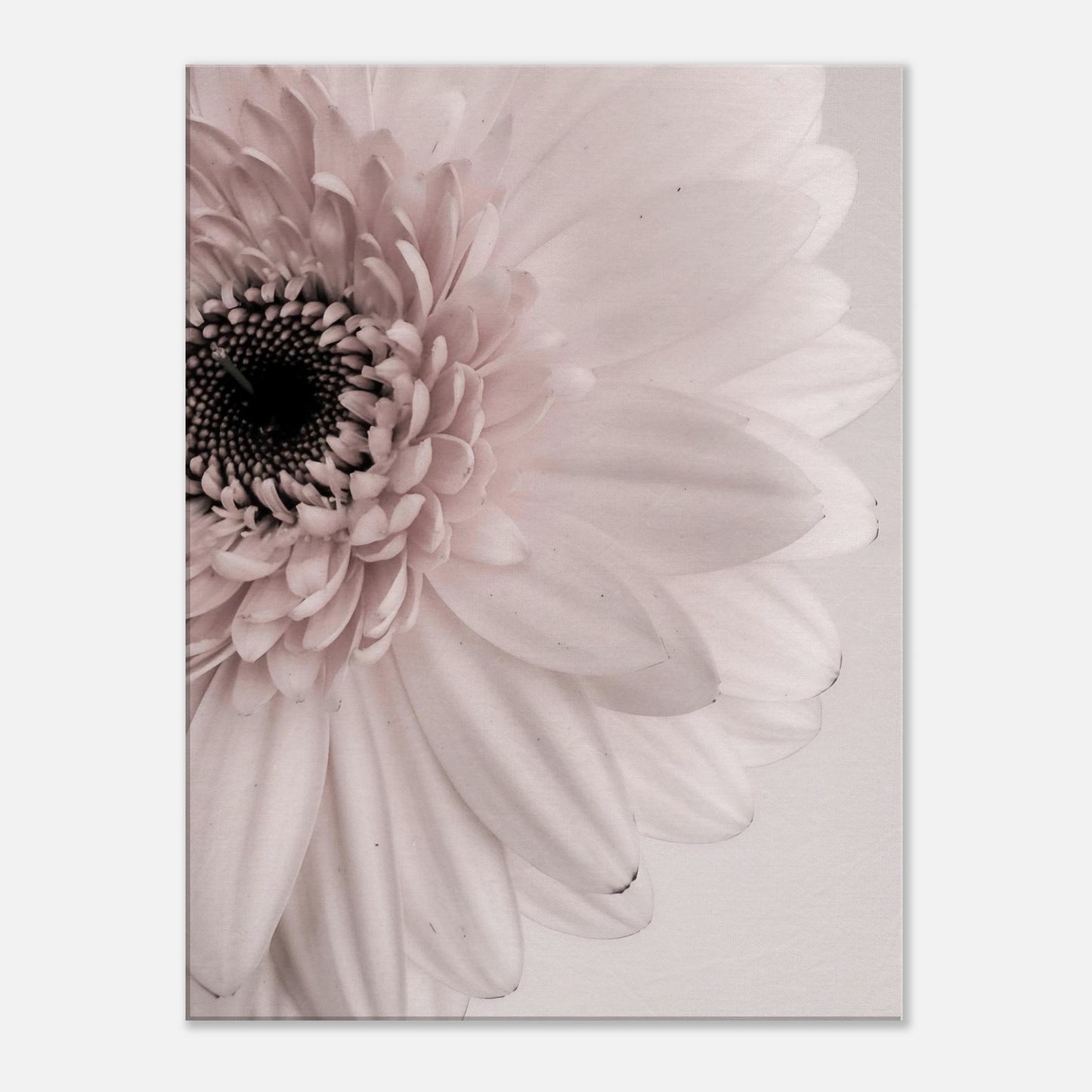 d0c78dd1-6f48-4a11-abe6-60cb70dcc18f