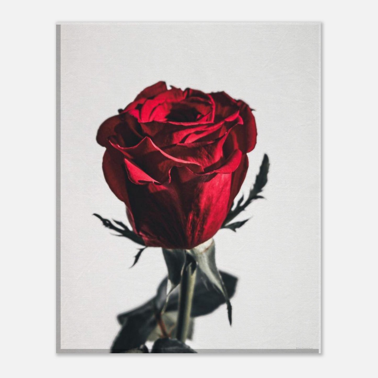 d0d8bab4-e946-4a71-bd3e-c9a15d48c5b9