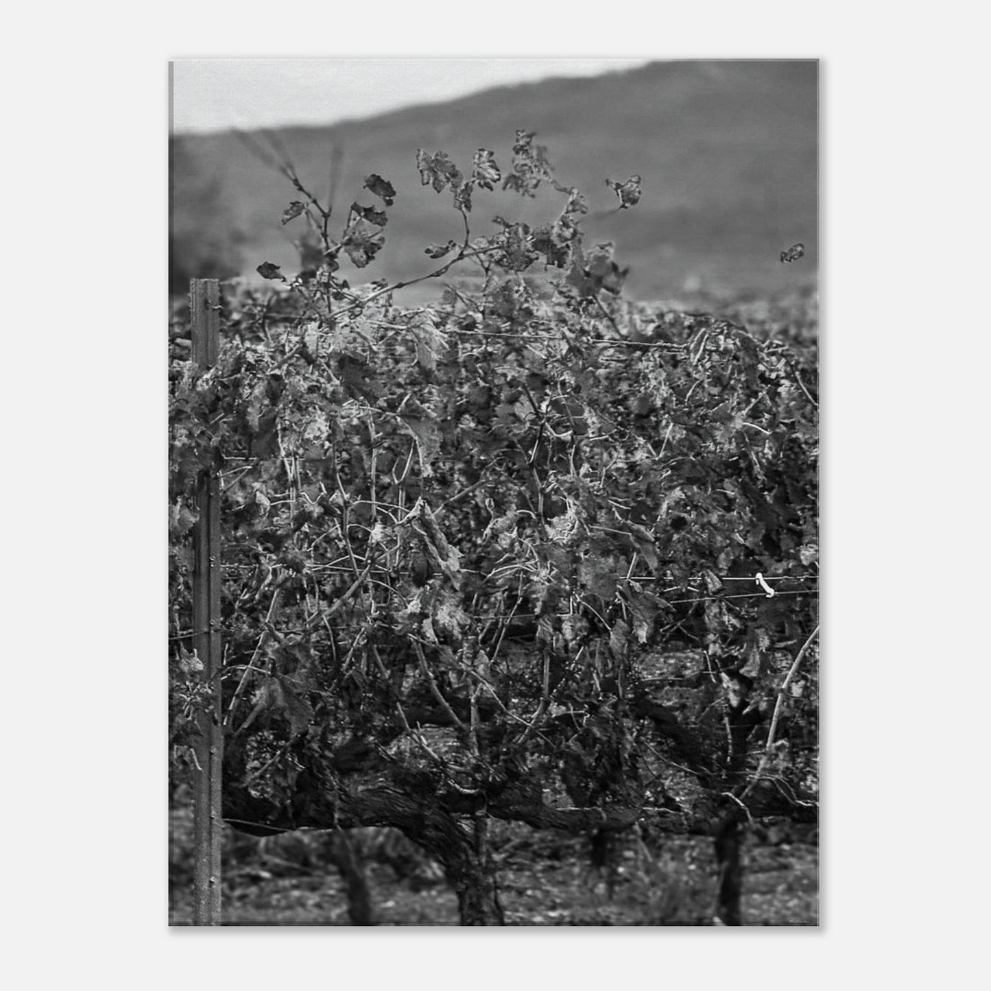 d10ee93d-6e0f-416c-b3af-6d64d00a5f7d