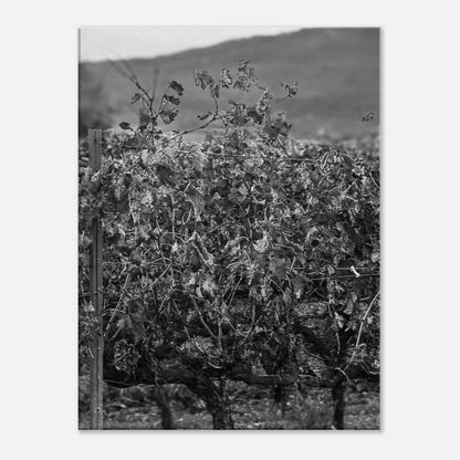 d10ee93d-6e0f-416c-b3af-6d64d00a5f7d