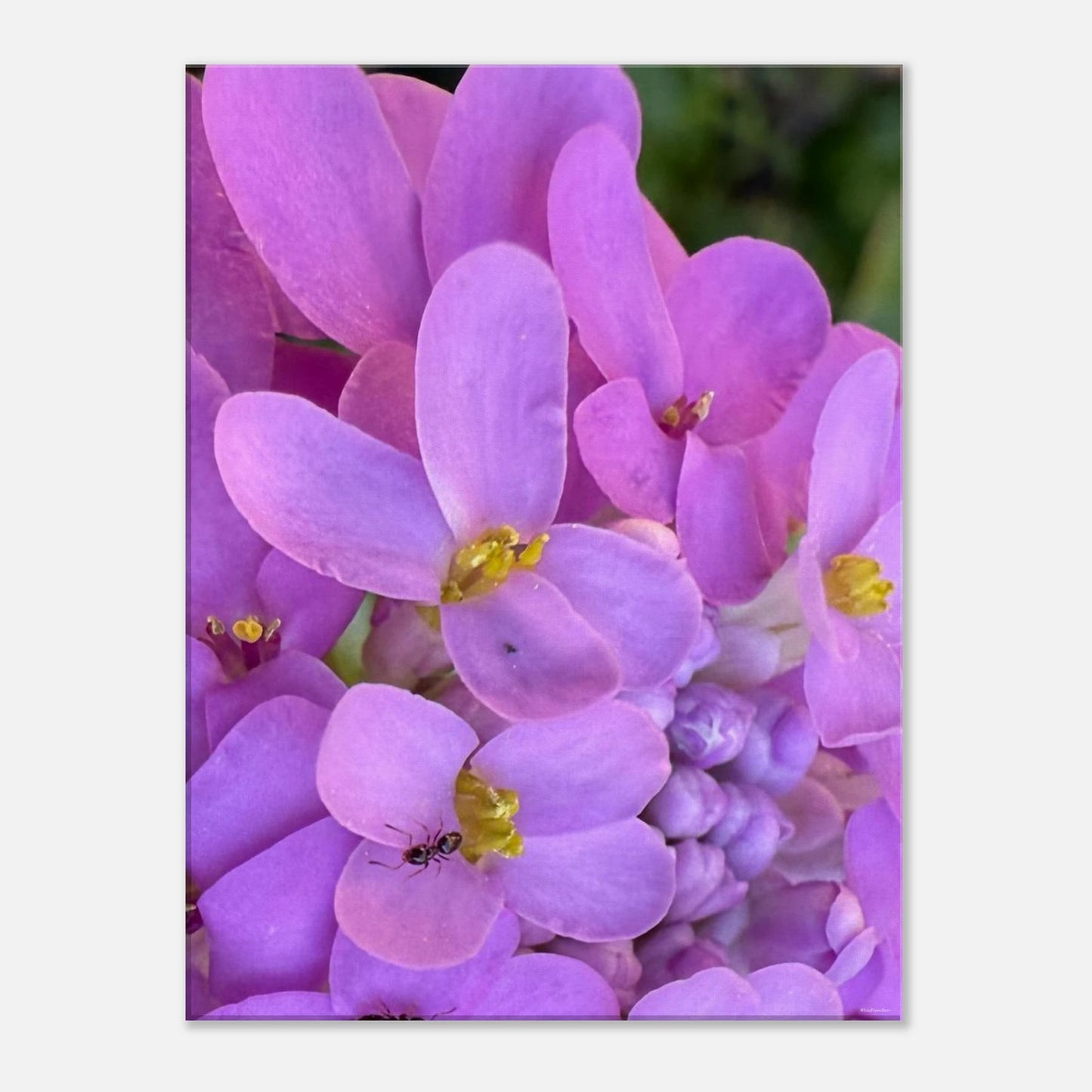 d11e6917-23f2-4828-a48f-f543deb8dc17