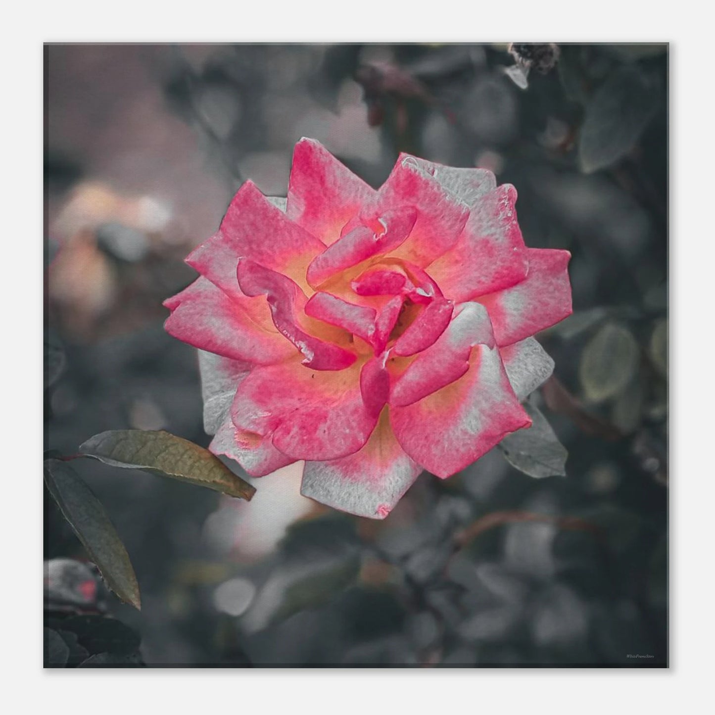 d12238fd-4853-4ae0-8e60-e4cb1f0cc29c