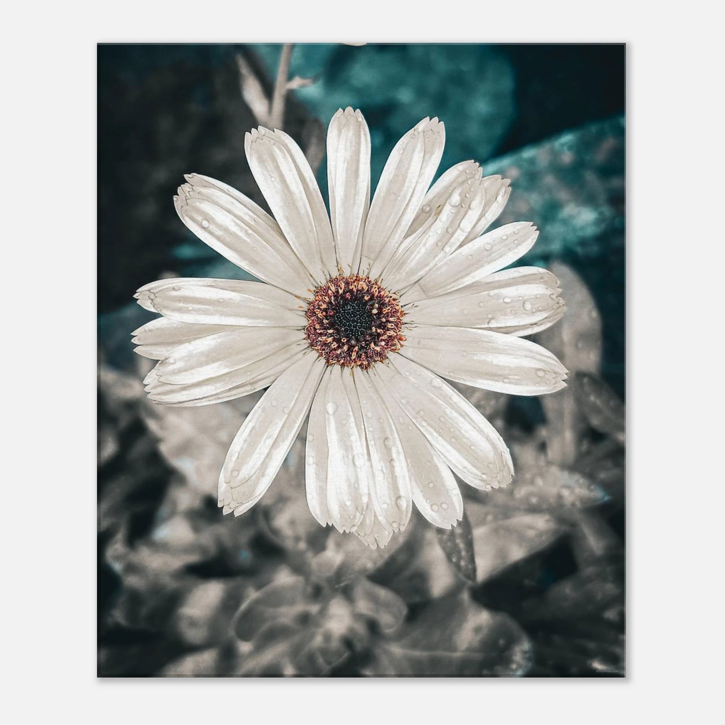 d129576c-a4d1-4919-bbdf-ecf9406b06cd