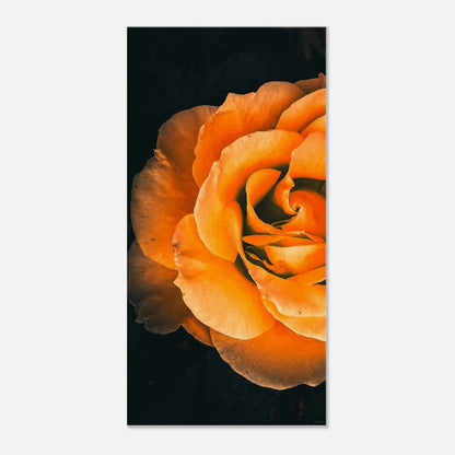 d12bcb83-2647-4da5-a54c-de67b04ebb86