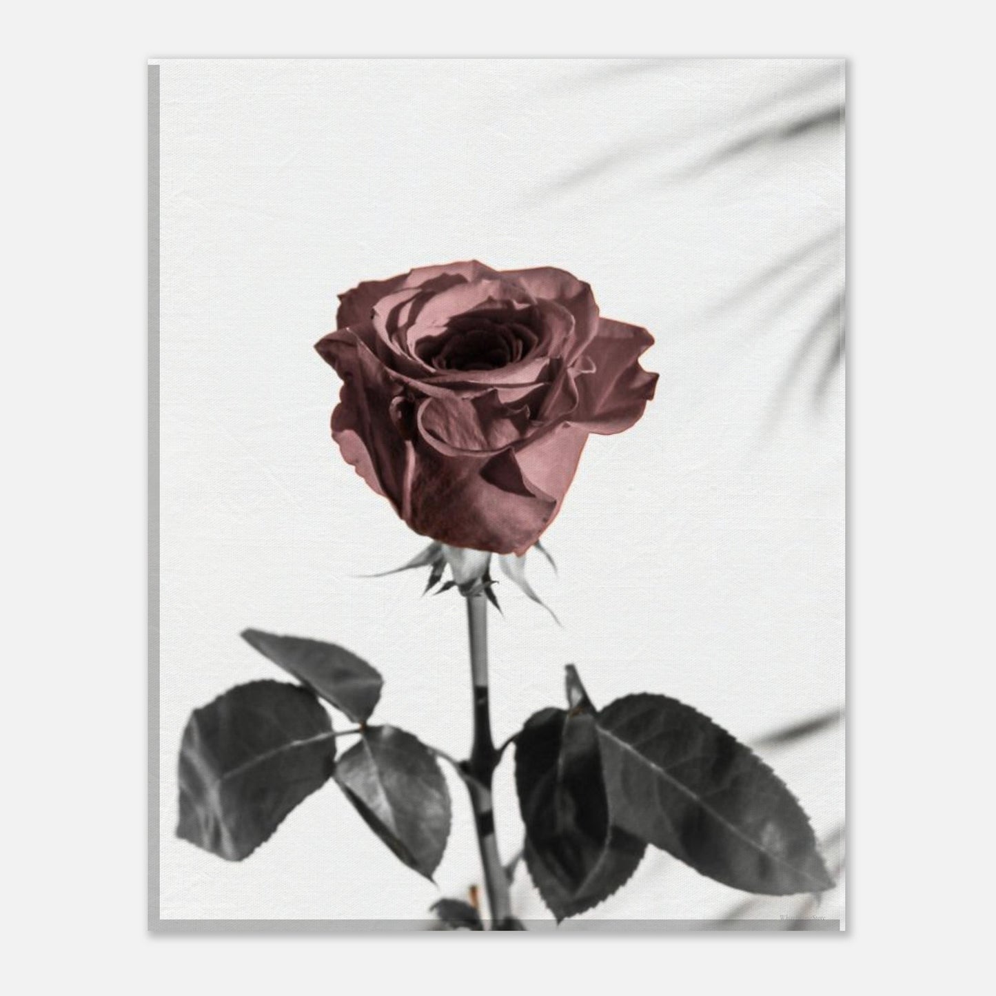 d1636587-94b9-472e-8728-297974adf9a7