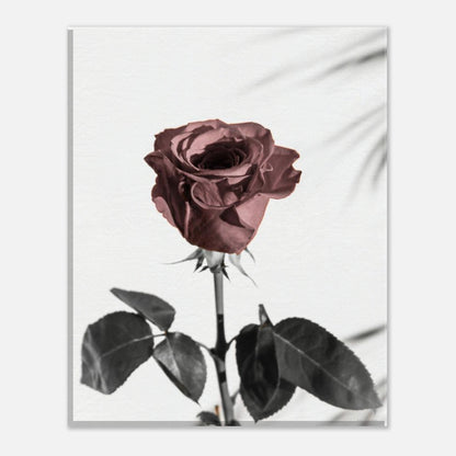 d1636587-94b9-472e-8728-297974adf9a7