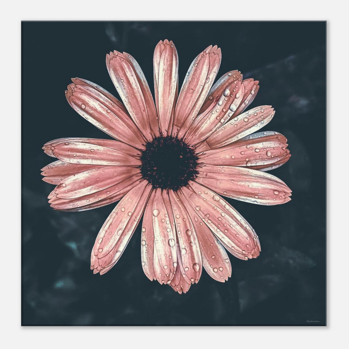 d169a7ee-8a79-4a7b-88c3-7363ec9ee3e0