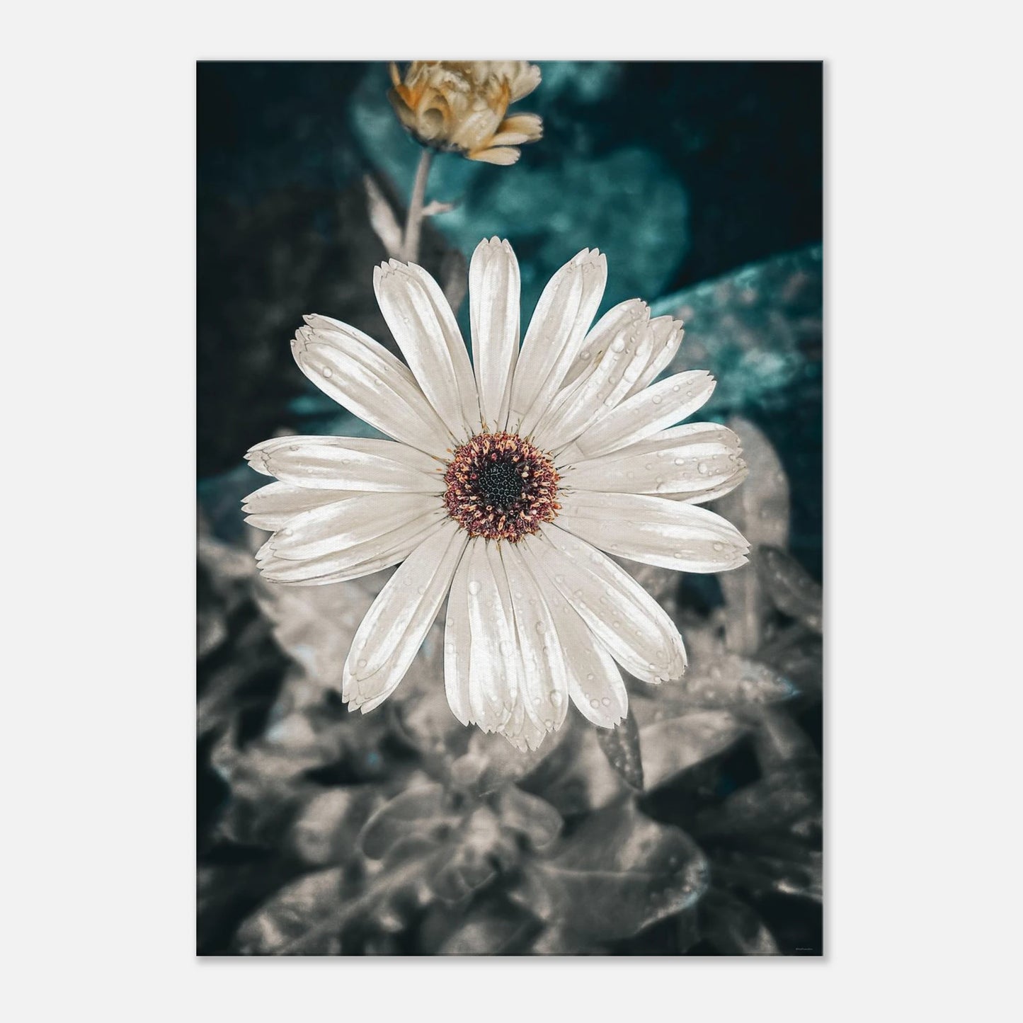 d18bdb70-706a-4776-a52b-612a8fc435bd