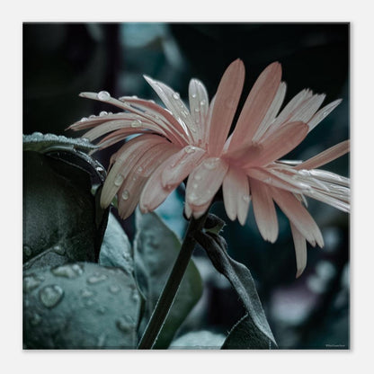 d1d7b5dd-5827-44ae-a2da-610bcddfd96a