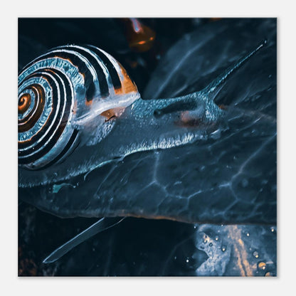 d1dae0fd-6088-41e6-bab6-217b02ed8aaa