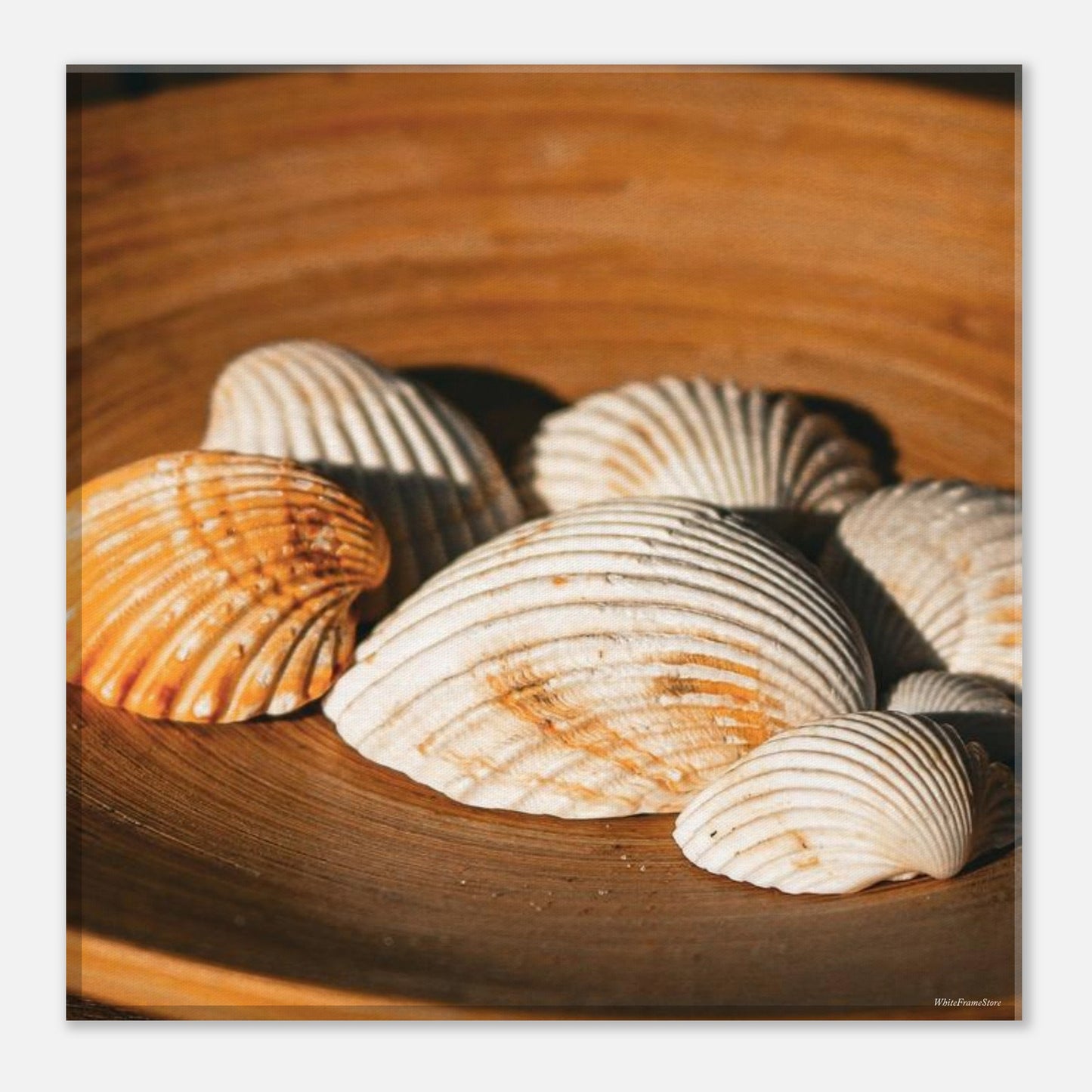 d20221b9-a817-4350-9105-b330dd8cfdfa