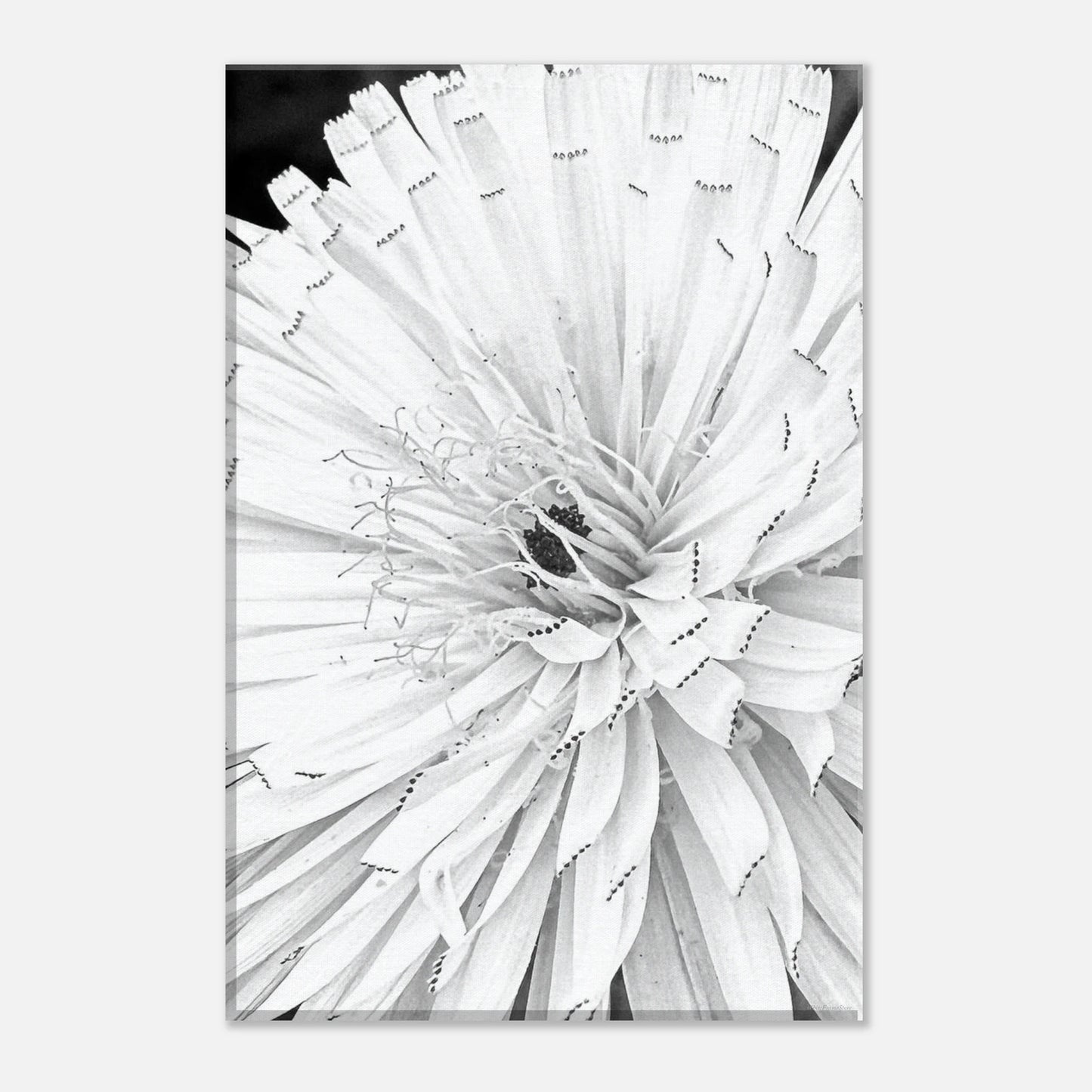 d20e2d06-622d-4016-83a9-9ccdb513d7f6