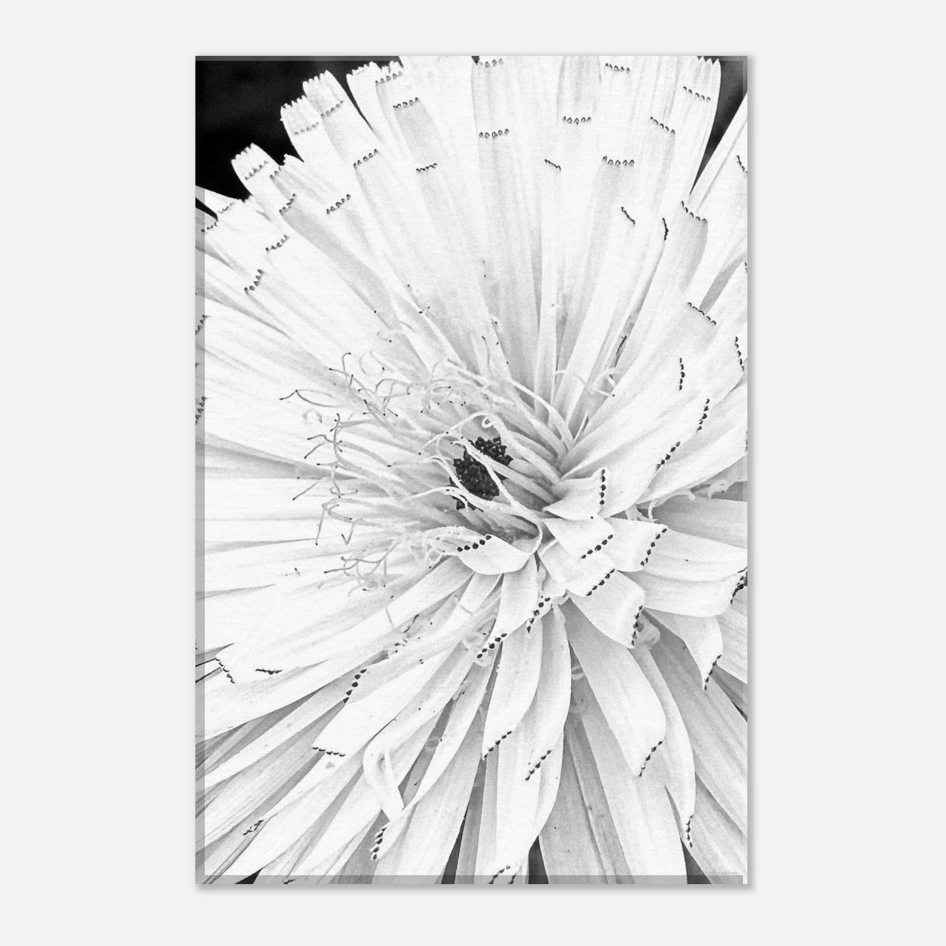 d20e2d06-622d-4016-83a9-9ccdb513d7f6