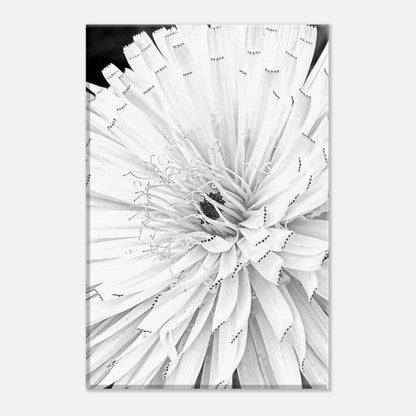 d20e2d06-622d-4016-83a9-9ccdb513d7f6