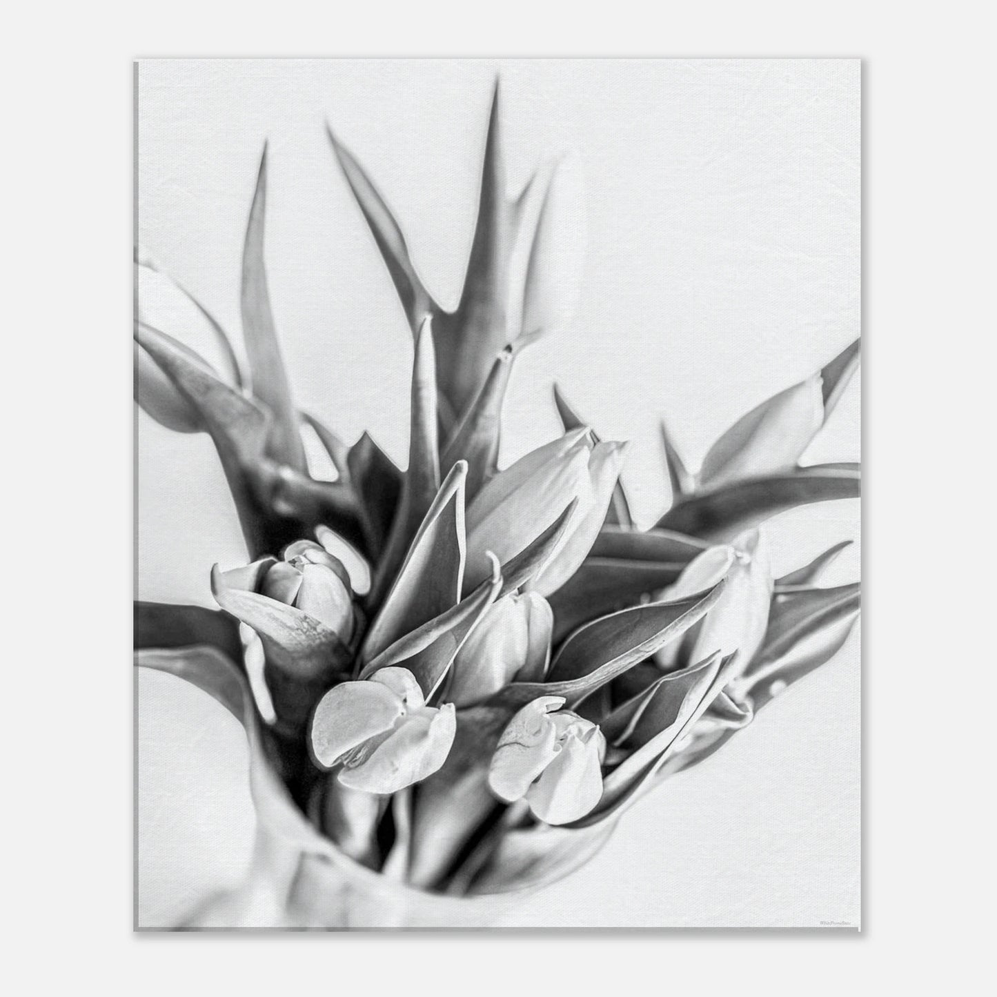 d222ed71-4343-471c-8b5e-24dc4900b75f