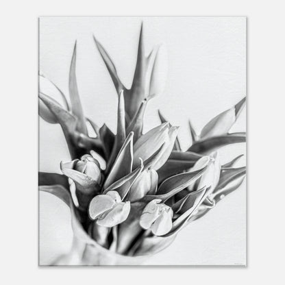 d222ed71-4343-471c-8b5e-24dc4900b75f