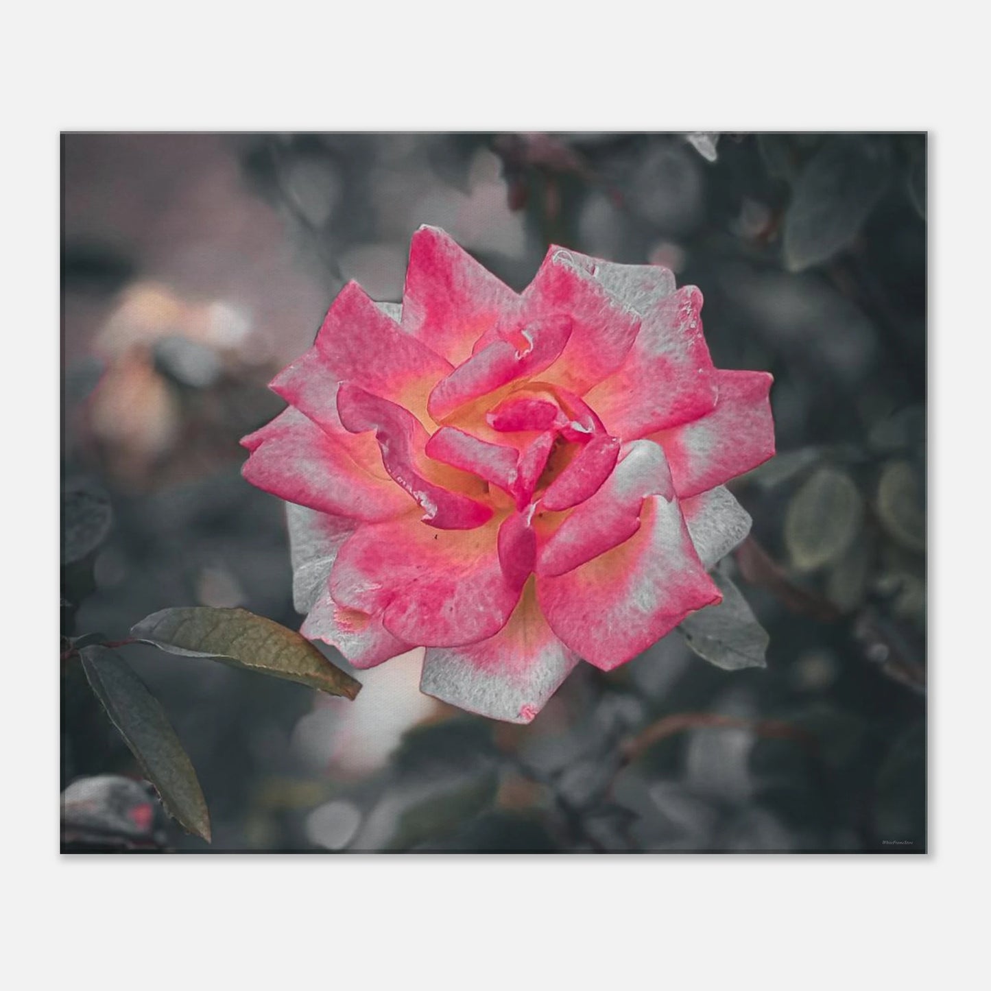 d2240b77-9be3-43c4-80f0-6eb5dcb78dd6