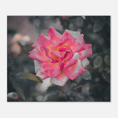 d2240b77-9be3-43c4-80f0-6eb5dcb78dd6