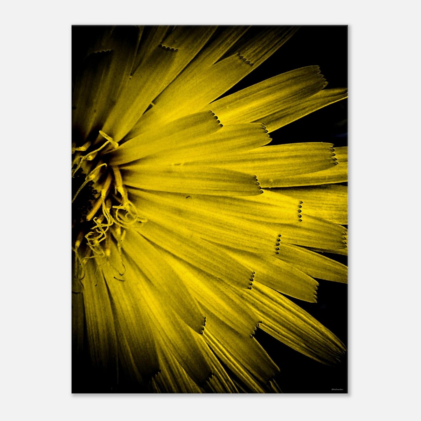 d242d901-e34b-4bb5-b49b-b36de8ce17f7