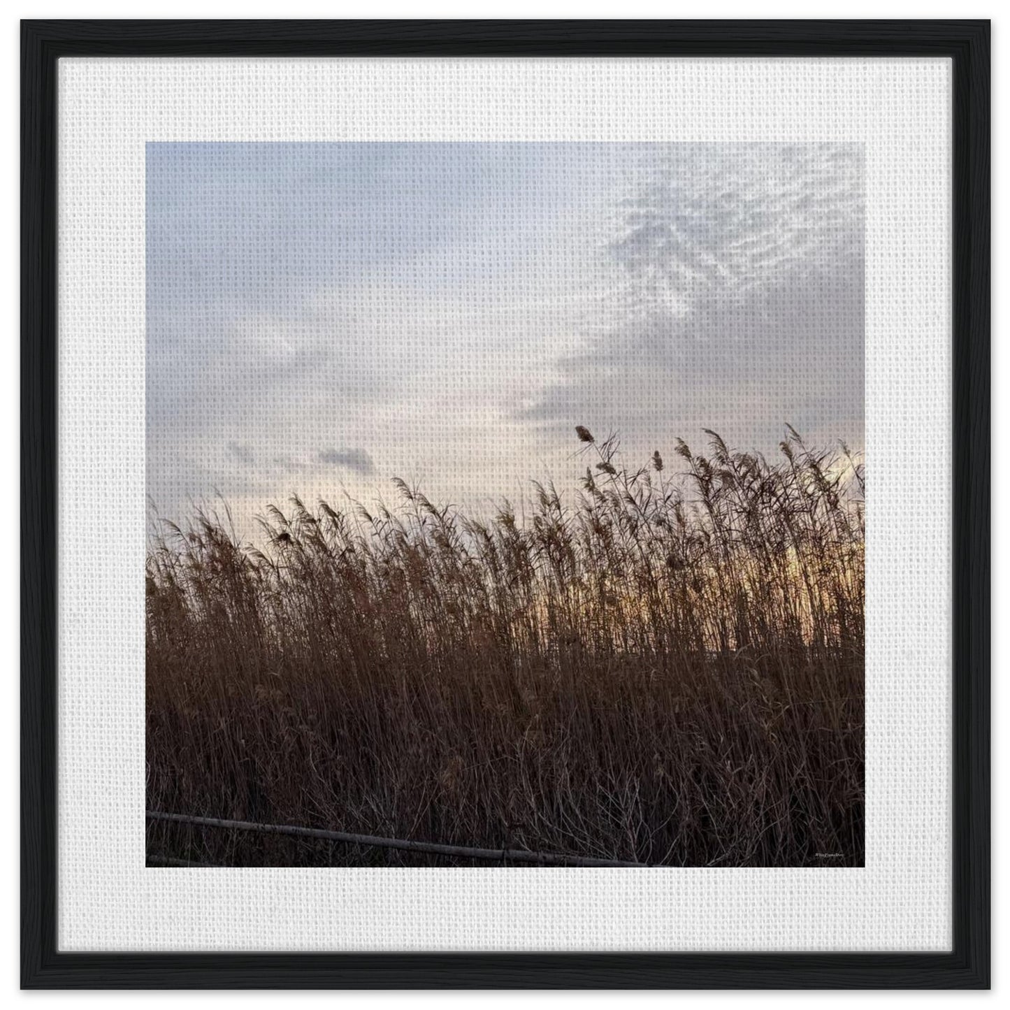 d24aab49-1c2c-4977-a4b8-ae64056a7ffc