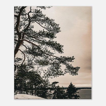 d26bf885-b663-4f4c-a4e1-a60a2c956fa3