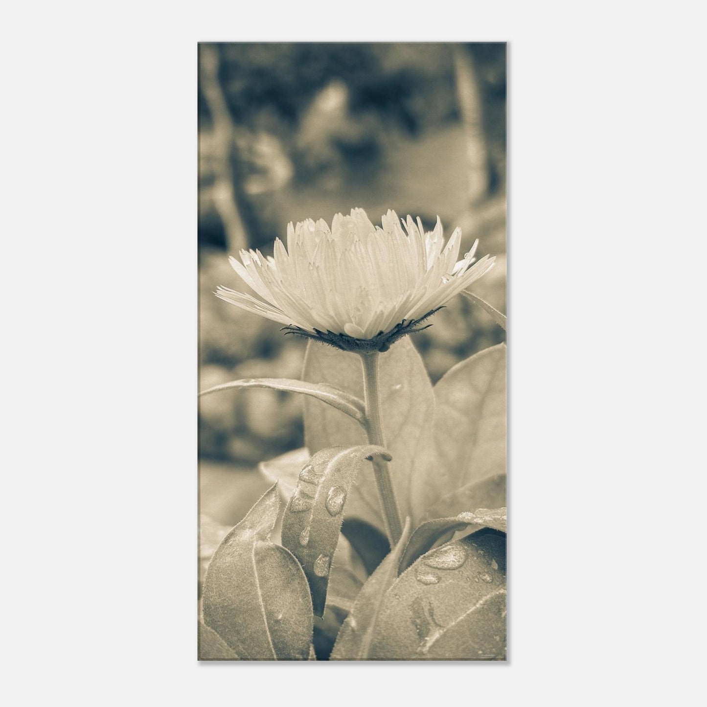 d29564d7-7585-4d2a-8732-048fc4967c5d