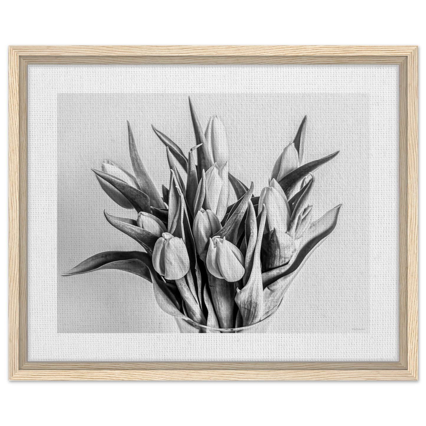 d2aecb63-4279-4050-9740-60f8a34d9f8a