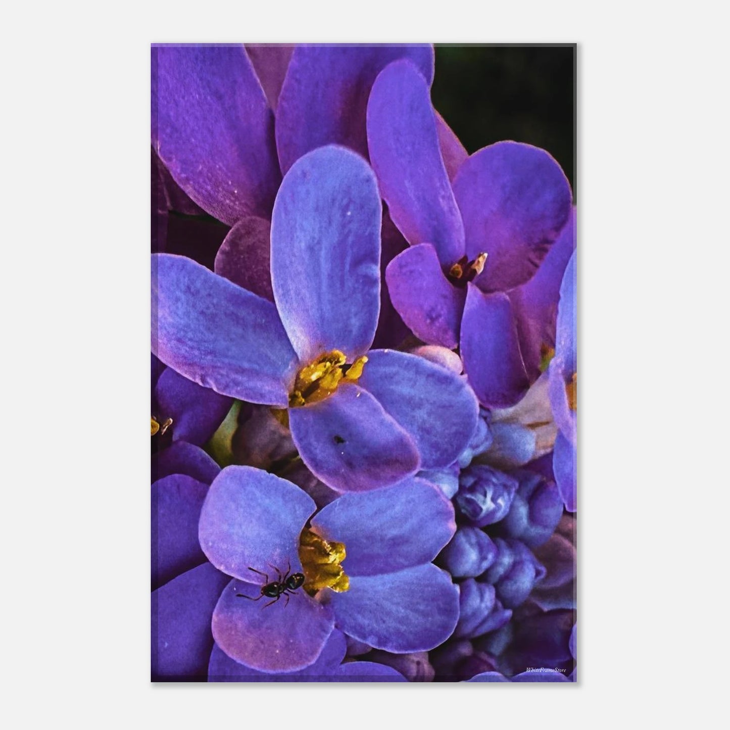 d2d62a91-0c8e-40b0-8383-aee94c6cffa5