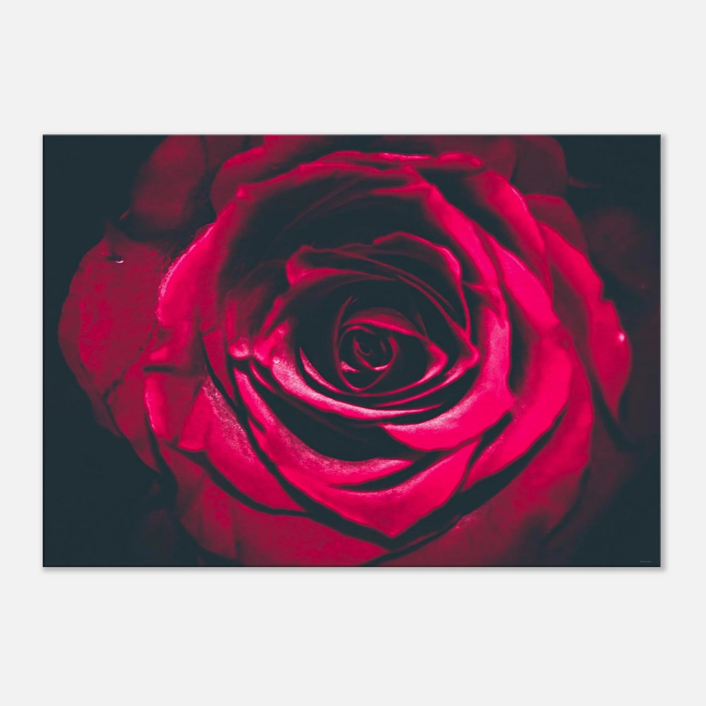 d30bfb02-d32f-441c-aa78-0ae03b64abab