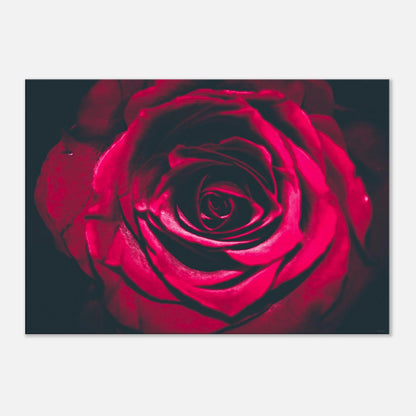 d30bfb02-d32f-441c-aa78-0ae03b64abab