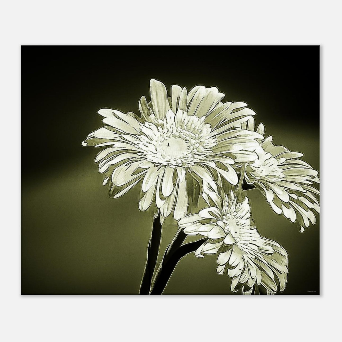 d315beac-f03f-4b93-abd5-c4abdd871b56