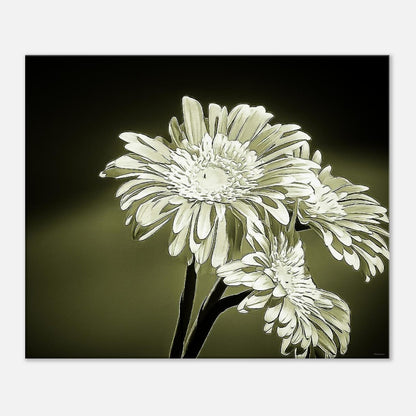 d315beac-f03f-4b93-abd5-c4abdd871b56