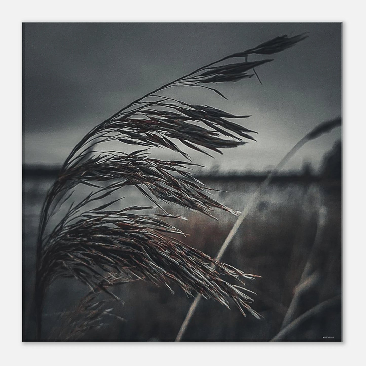 d31b9c27-47ba-49c9-88cd-9d26cd270a84