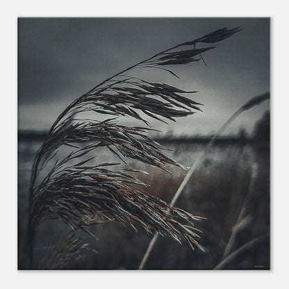 d31b9c27-47ba-49c9-88cd-9d26cd270a84