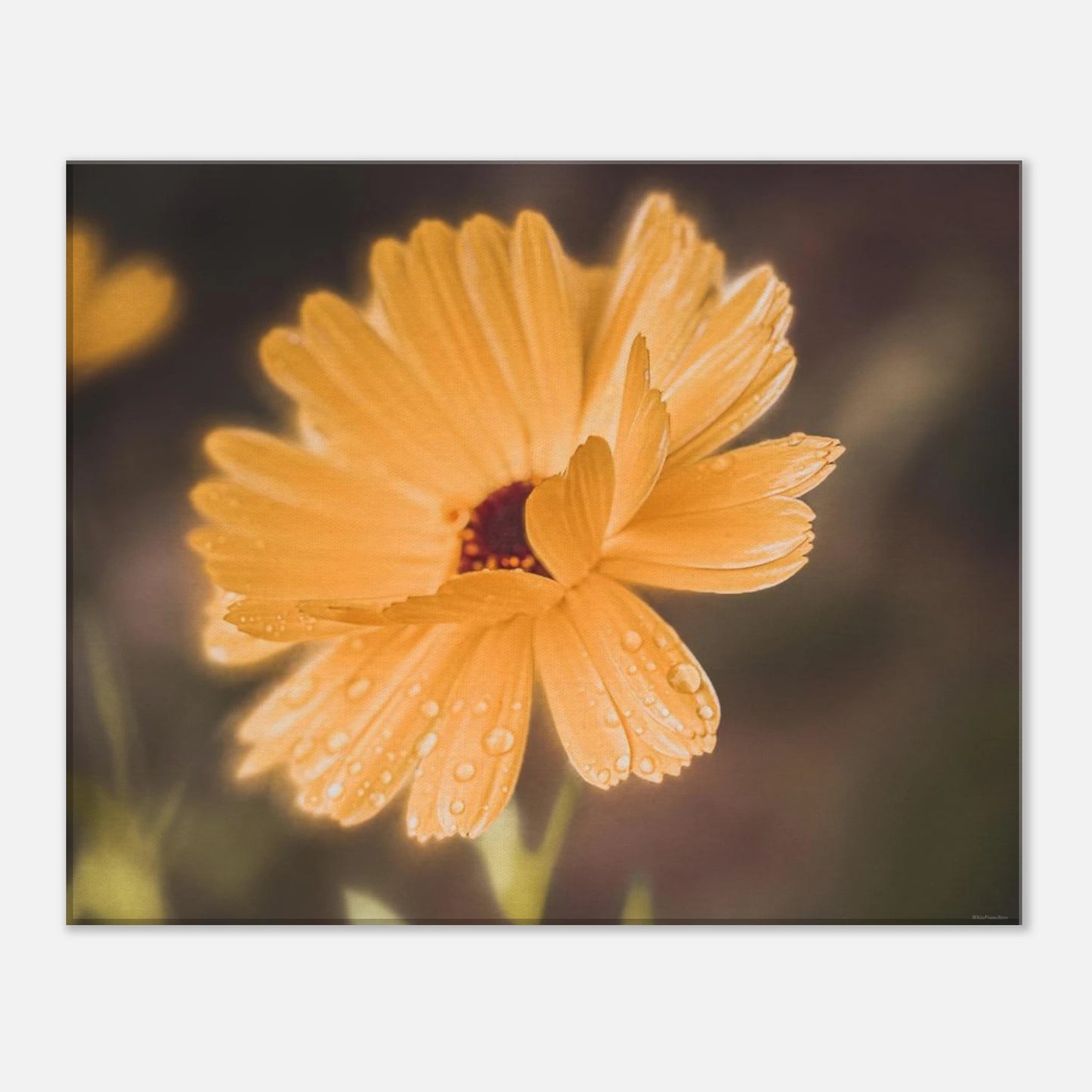 d3578b20-8d27-4039-ae72-67fa165659bf