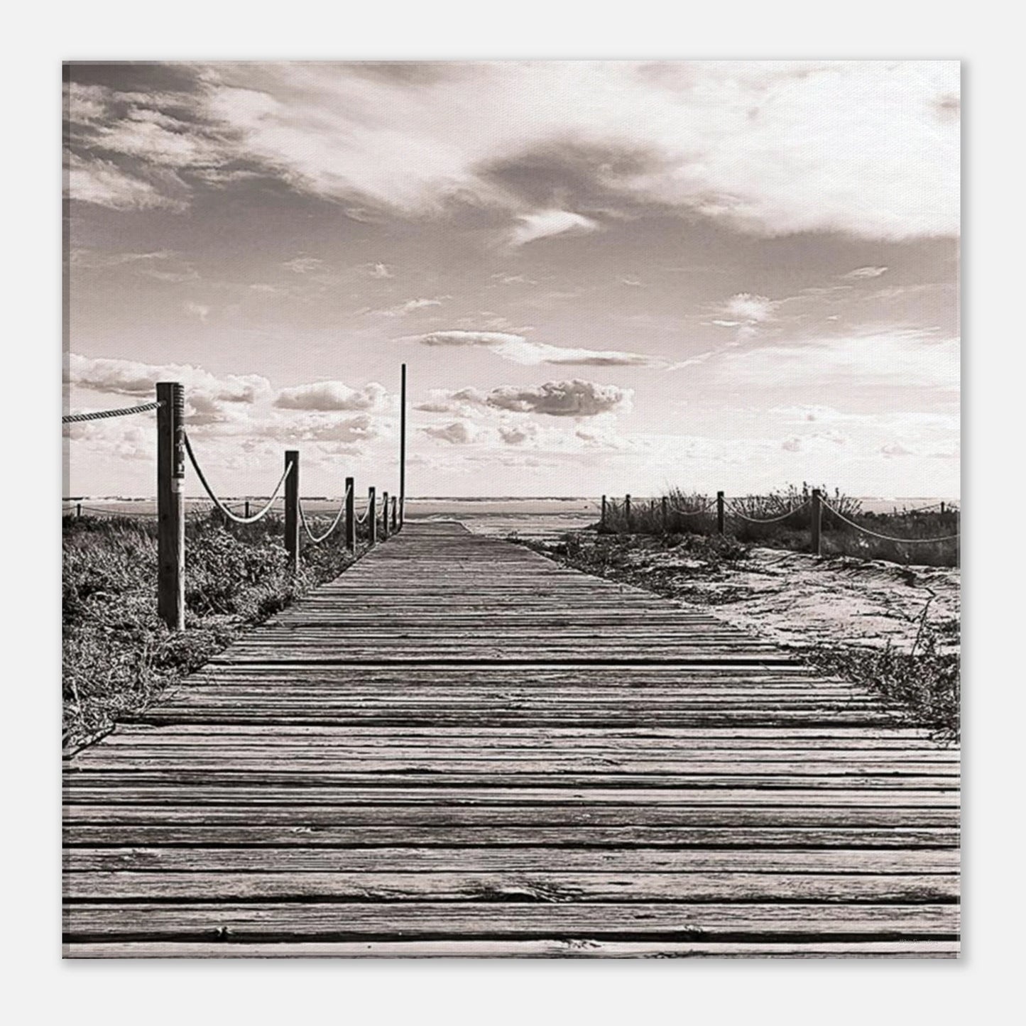 d365da5e-8943-4ef7-9628-571e85d8cc41